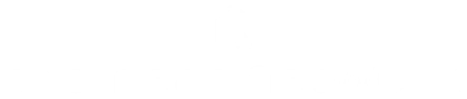 The Heat Network logo